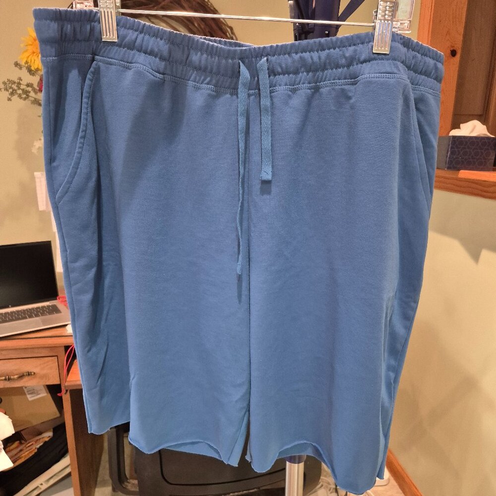 Lularoe Jamie Shorts